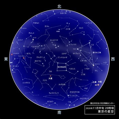 11月26日 星座|11月26日生日书（射手座）